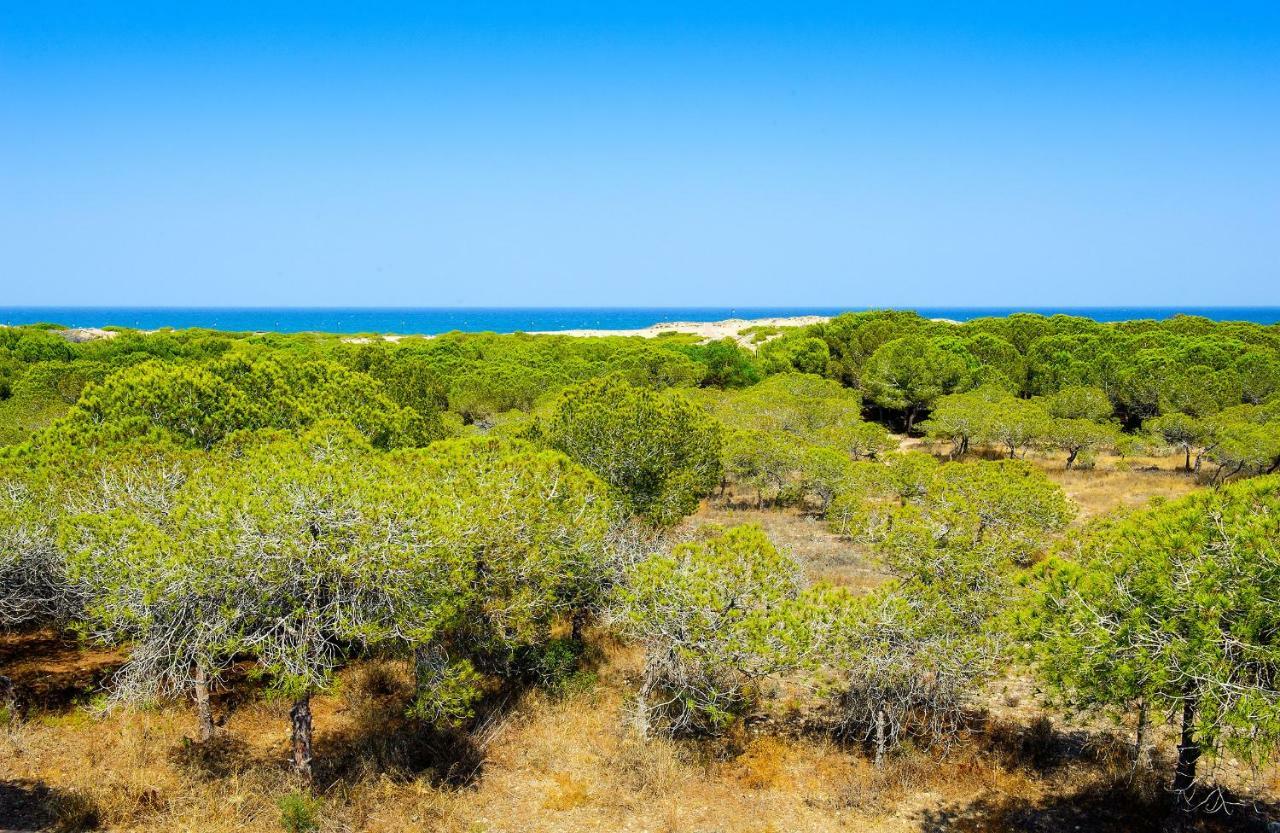 Luxury Pinada Beach La Mata  Bagian luar foto